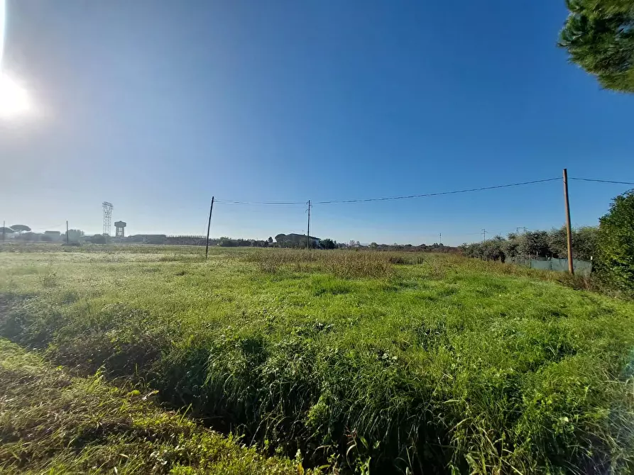 Immagine 1 di Terreno agricolo in vendita  a Castelfranco Di Sotto
