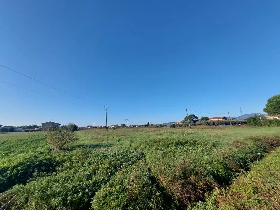 Immagine 2 di Terreno agricolo in vendita  a Castelfranco Di Sotto