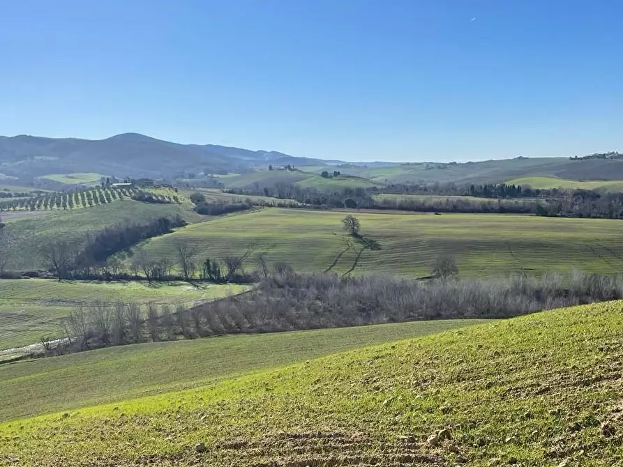 Immagine 1 di Casa colonica in vendita  a Lajatico