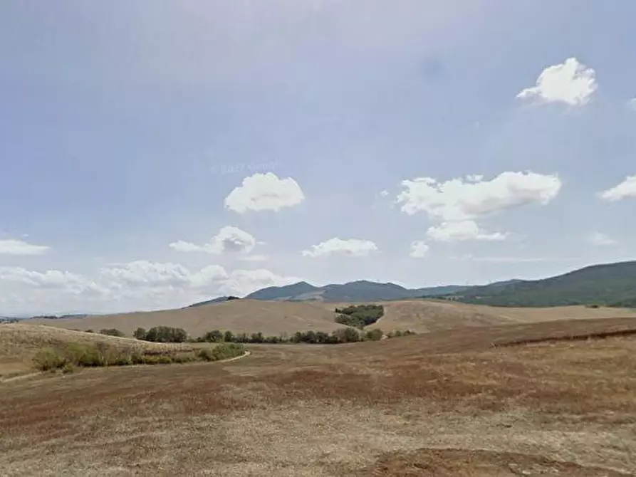 Immagine 2 di Casa colonica in vendita  a Lajatico