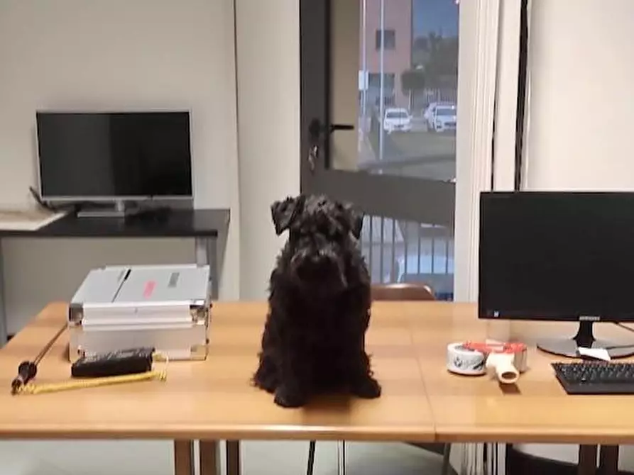 Immagine 7 di Ufficio in vendita  a San Giuliano Terme