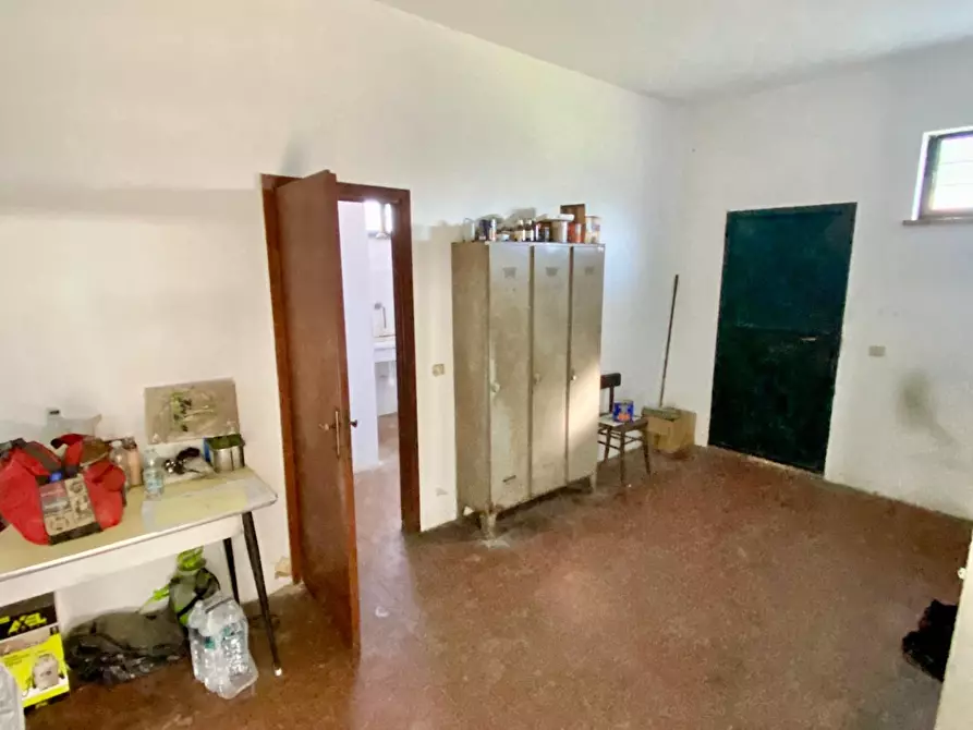 Immagine 3 di Attività artigianale in vendita  a Casciana Terme Lari