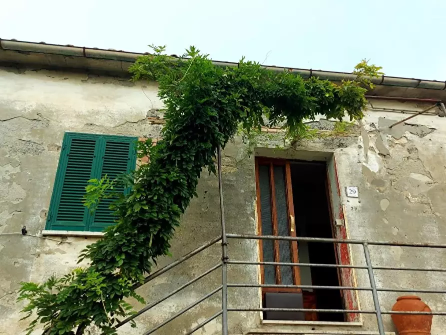 Immagine 19 di Villa in vendita  a Santa Luce