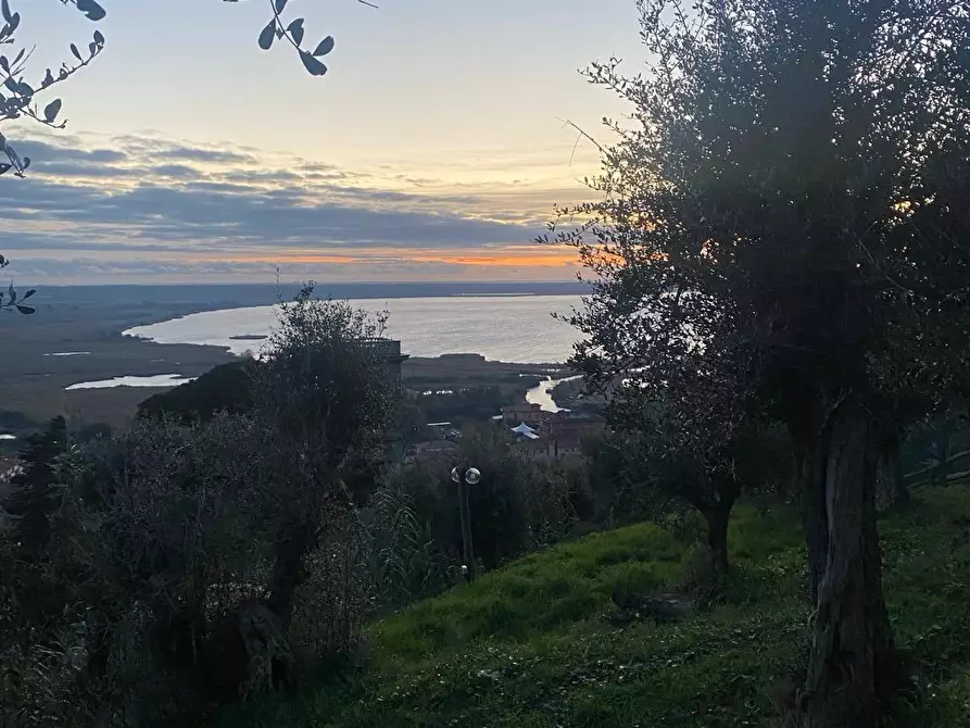 Immagine 31 di Appartamento in vendita  a Massarosa