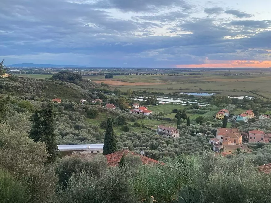 Immagine 23 di Appartamento in vendita  a Massarosa