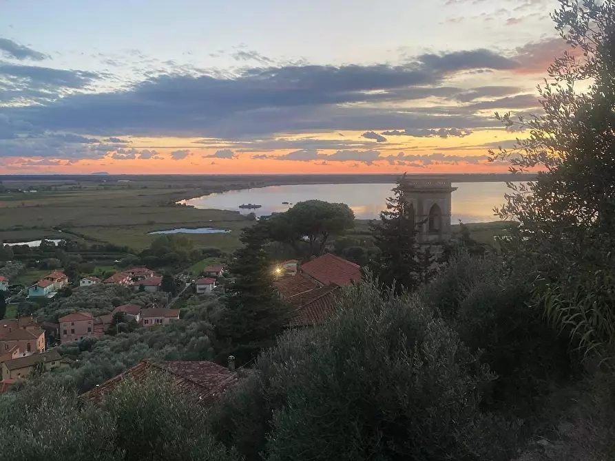 Immagine 3 di Appartamento in vendita  a Massarosa