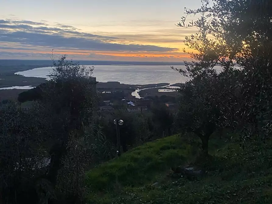 Immagine 29 di Appartamento in vendita  a Massarosa