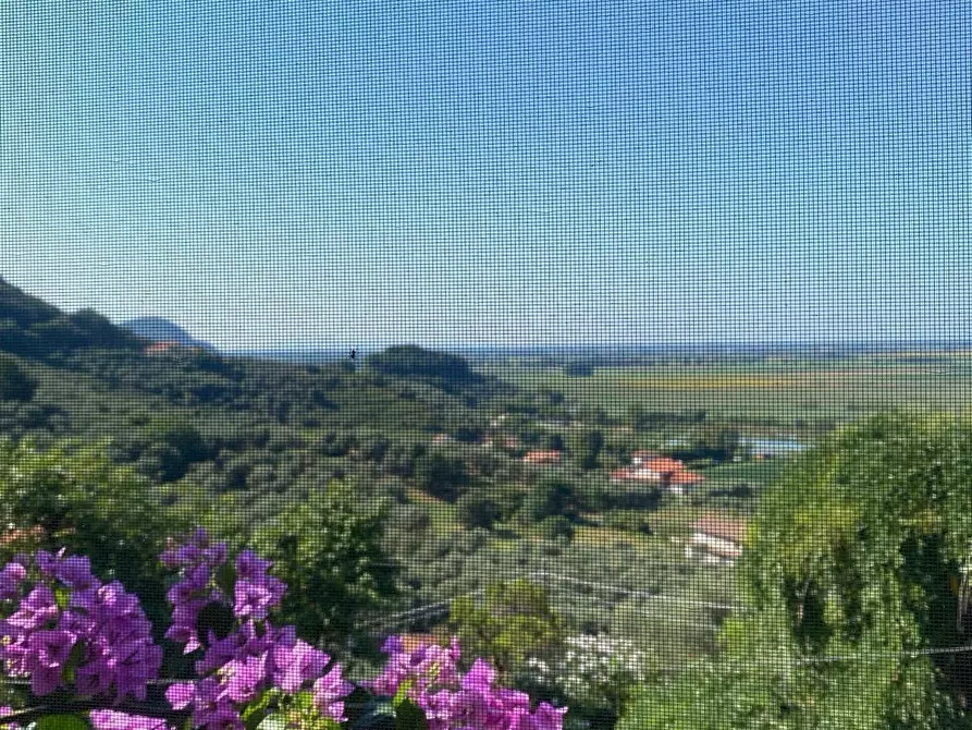 Immagine 21 di Appartamento in vendita  a Massarosa