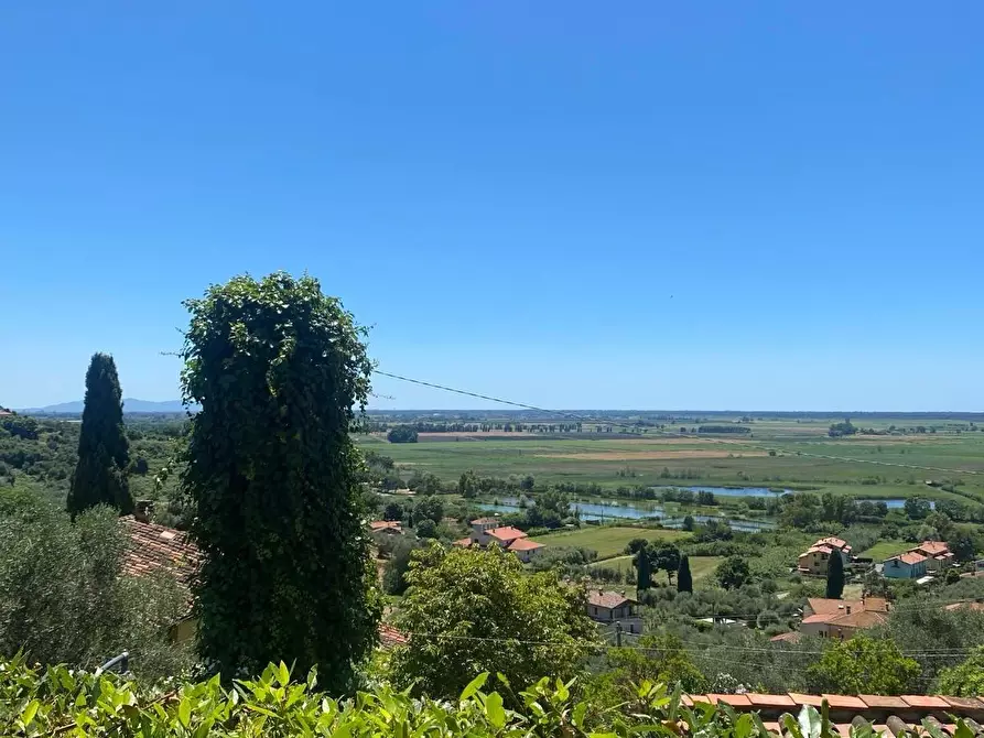 Immagine 19 di Appartamento in vendita  a Massarosa