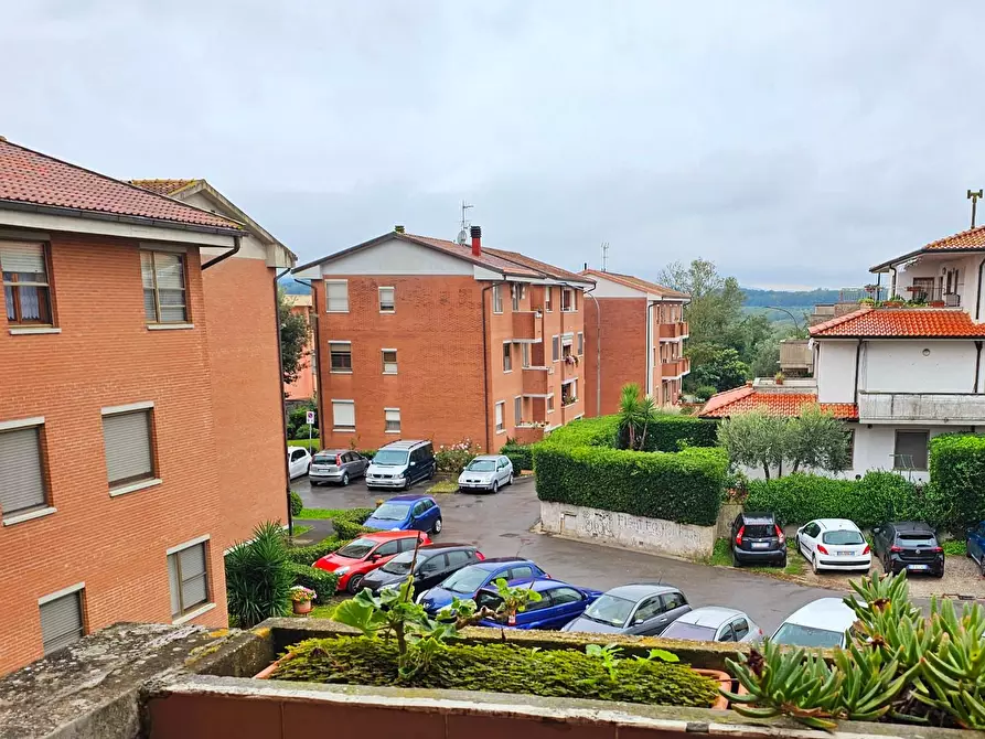 Immagine 5 di Appartamento in vendita  a Collesalvetti