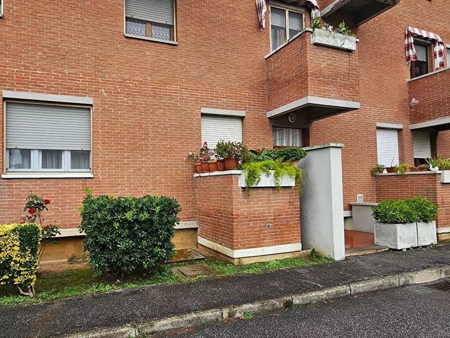 Immagine 28 di Appartamento in vendita  a Collesalvetti