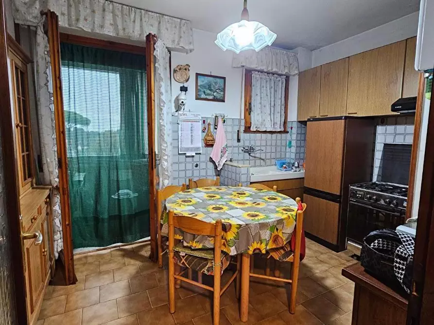 Immagine 12 di Appartamento in vendita  a Collesalvetti