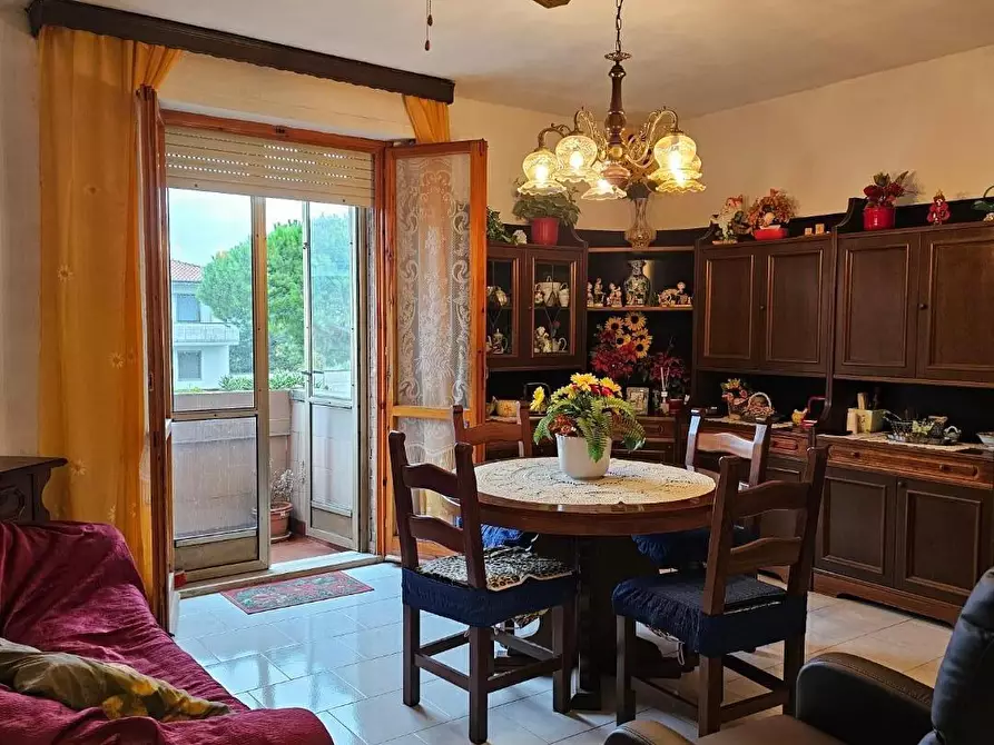 Immagine 26 di Appartamento in vendita  a Collesalvetti