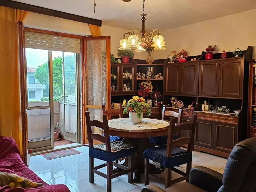 Immagine 27 di Appartamento in vendita  a Collesalvetti