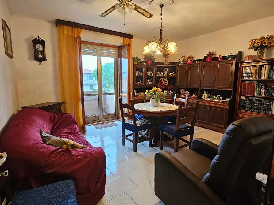 Immagine 4 di Appartamento in vendita  a Collesalvetti