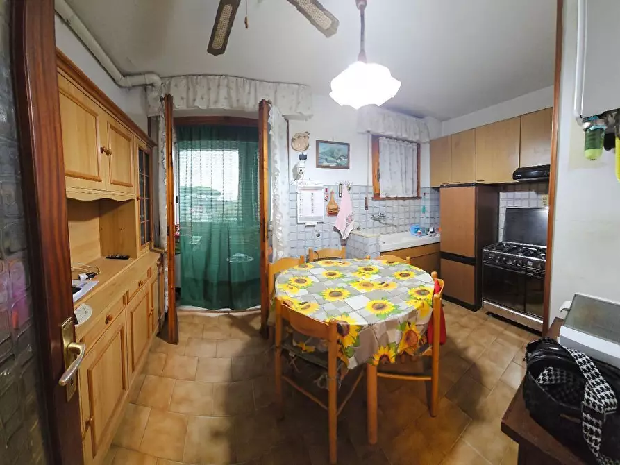 Immagine 2 di Appartamento in vendita  a Collesalvetti