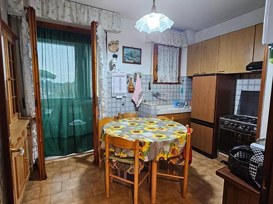 Immagine 11 di Appartamento in vendita  a Collesalvetti