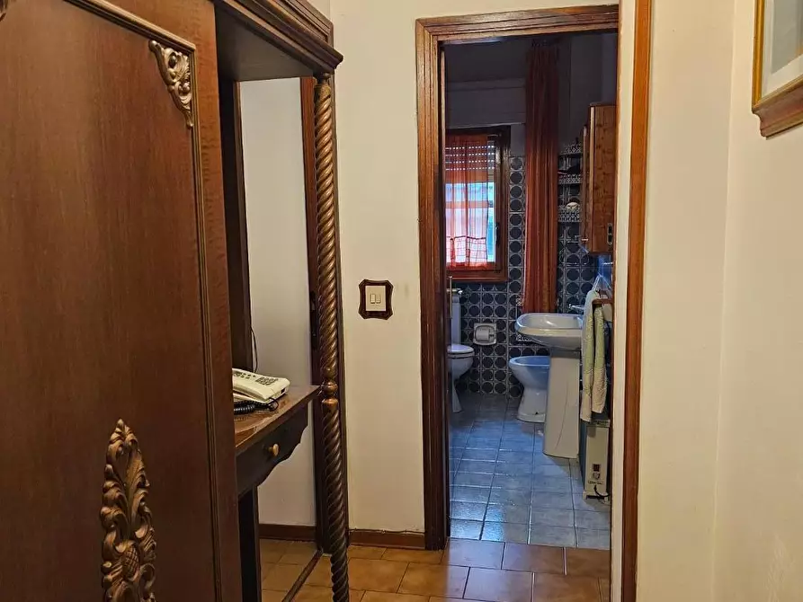 Immagine 18 di Appartamento in vendita  a Collesalvetti