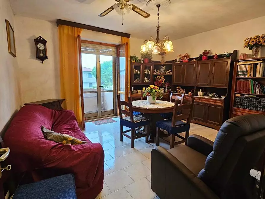 Immagine 3 di Appartamento in vendita  a Collesalvetti