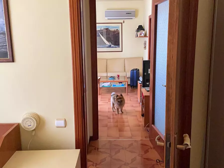 Immagine 17 di Mansarda in vendita  a Pisa