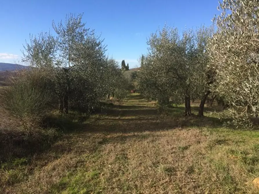 Immagine 2 di Terreno agricolo in vendita  a Poggibonsi