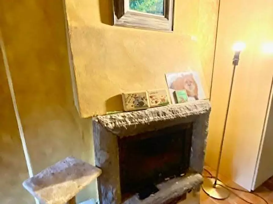 Immagine 32 di Casa colonica in vendita  a Buggiano