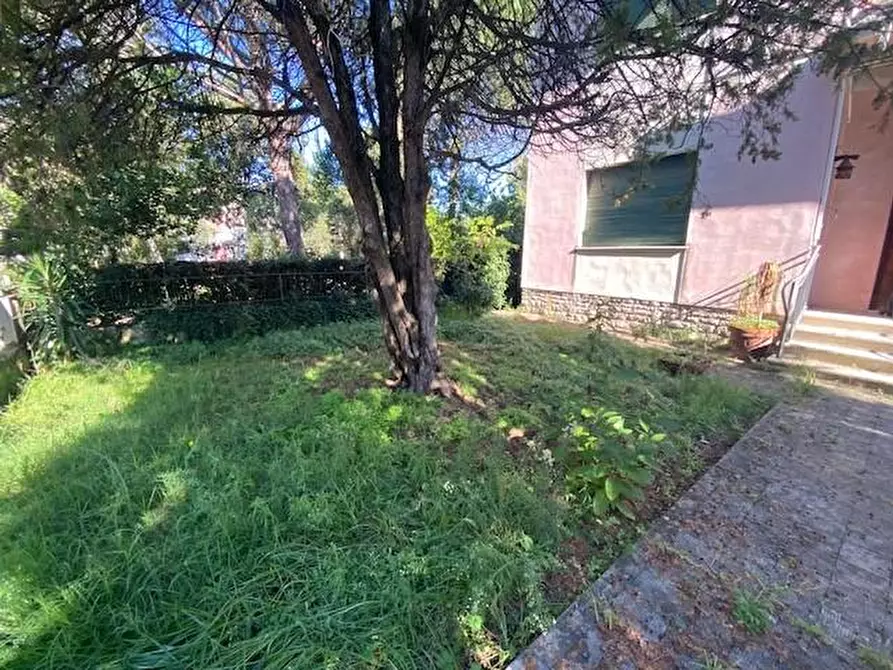 Immagine 17 di Villa in vendita  a Capannoli