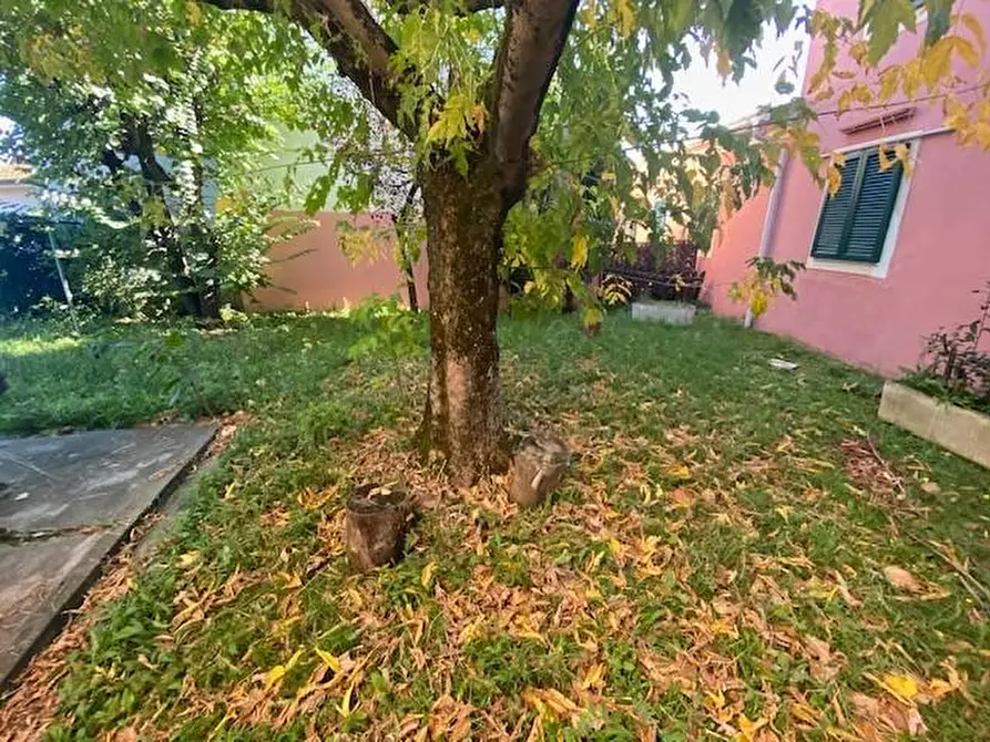 Immagine 19 di Villa in vendita  a Capannoli