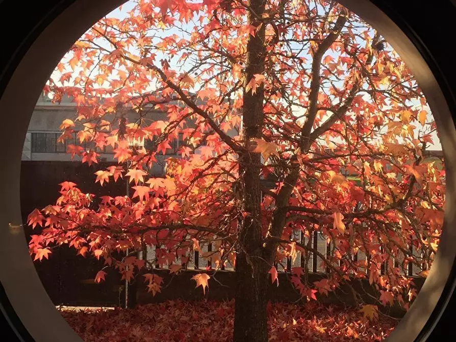 Immagine 64 di Appartamento in vendita  a Cascina