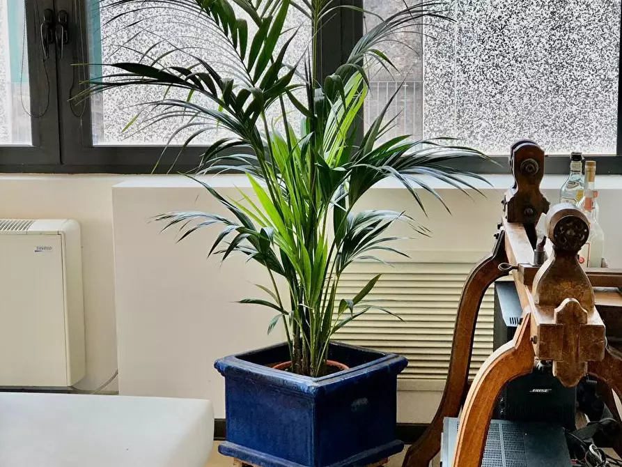 Immagine 33 di Appartamento in vendita  a Cascina