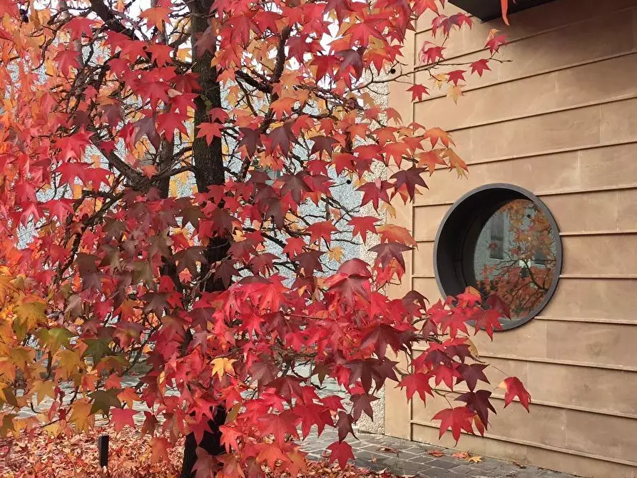 Immagine 65 di Appartamento in vendita  a Cascina