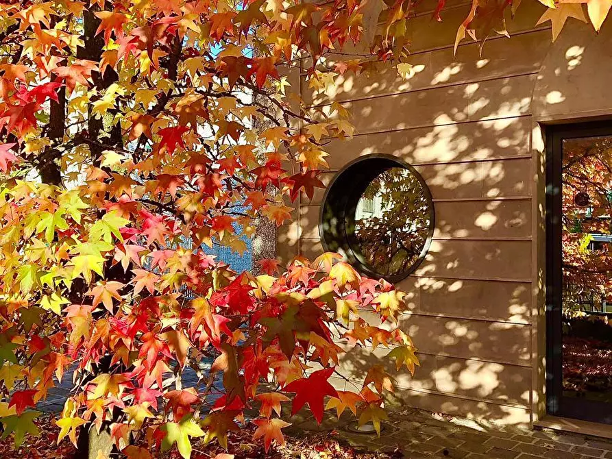 Immagine 3 di Appartamento in vendita  a Cascina