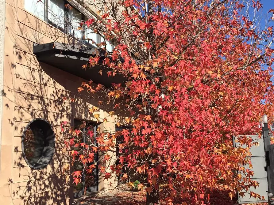 Immagine 57 di Appartamento in vendita  a Cascina