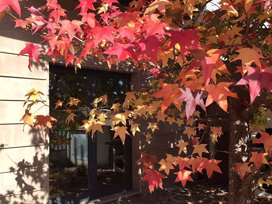 Immagine 63 di Appartamento in vendita  a Cascina