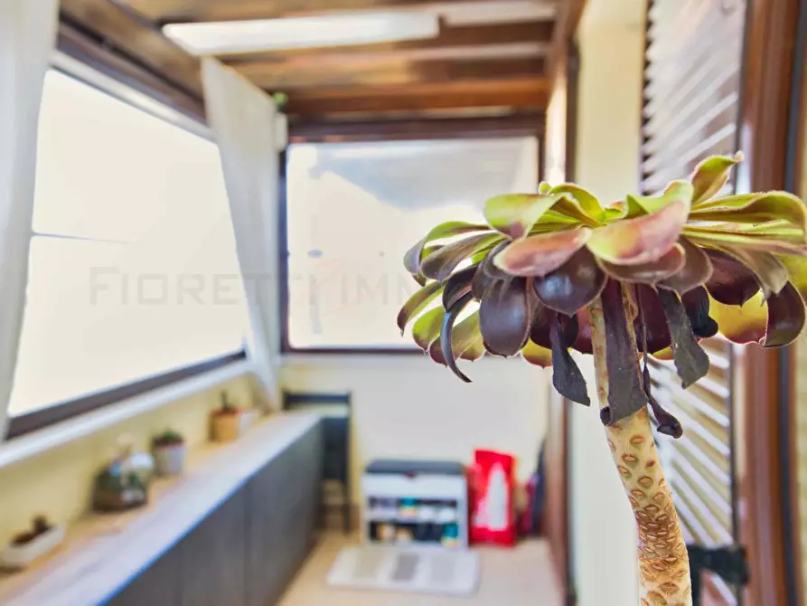 Immagine 14 di Appartamento in vendita  a San Vincenzo