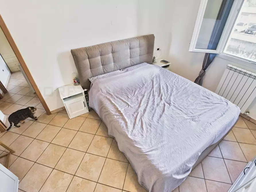 Immagine 22 di Appartamento in vendita  a San Vincenzo