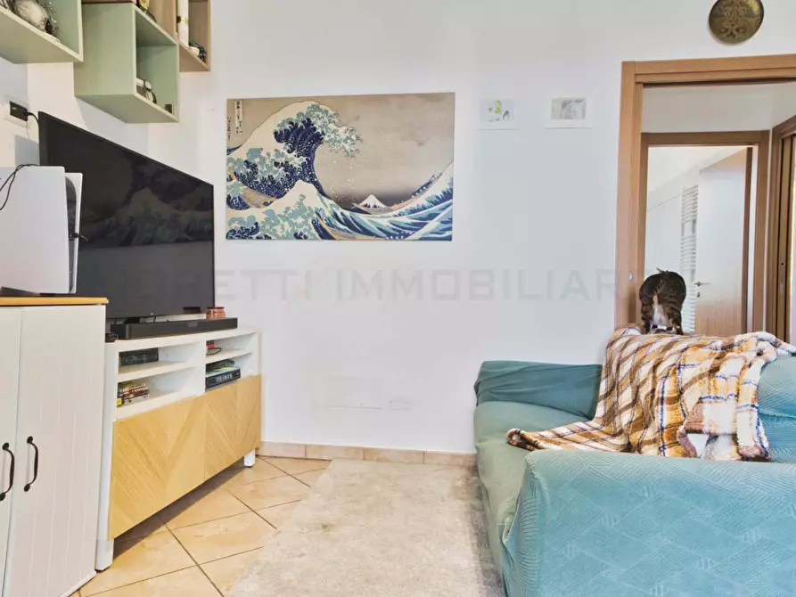 Immagine 6 di Appartamento in vendita  a San Vincenzo