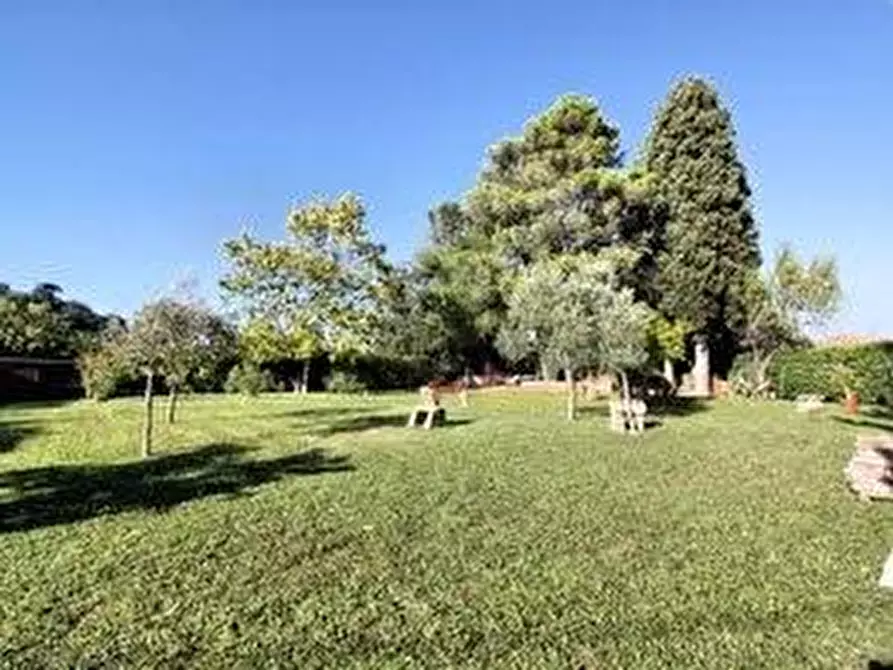 Immagine 35 di Terratetto in vendita  a Casciana Terme Lari