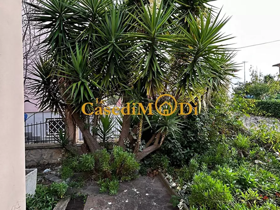 Immagine 3 di Villa in vendita  a Santa Luce