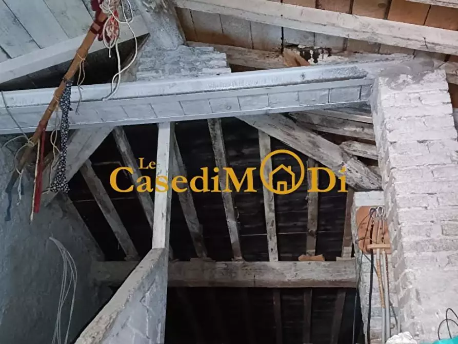 Immagine 78 di Villa in vendita  a Santa Luce