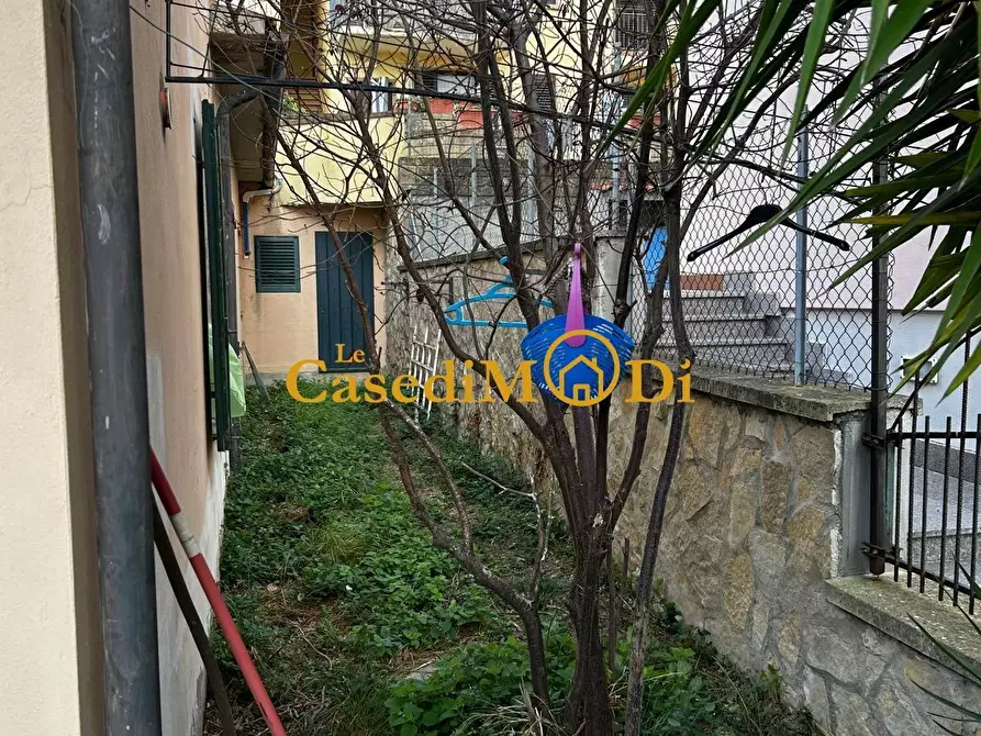 Immagine 9 di Villa in vendita  a Santa Luce