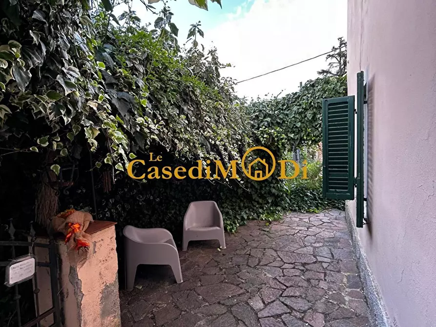 Immagine 4 di Villa in vendita  a Santa Luce