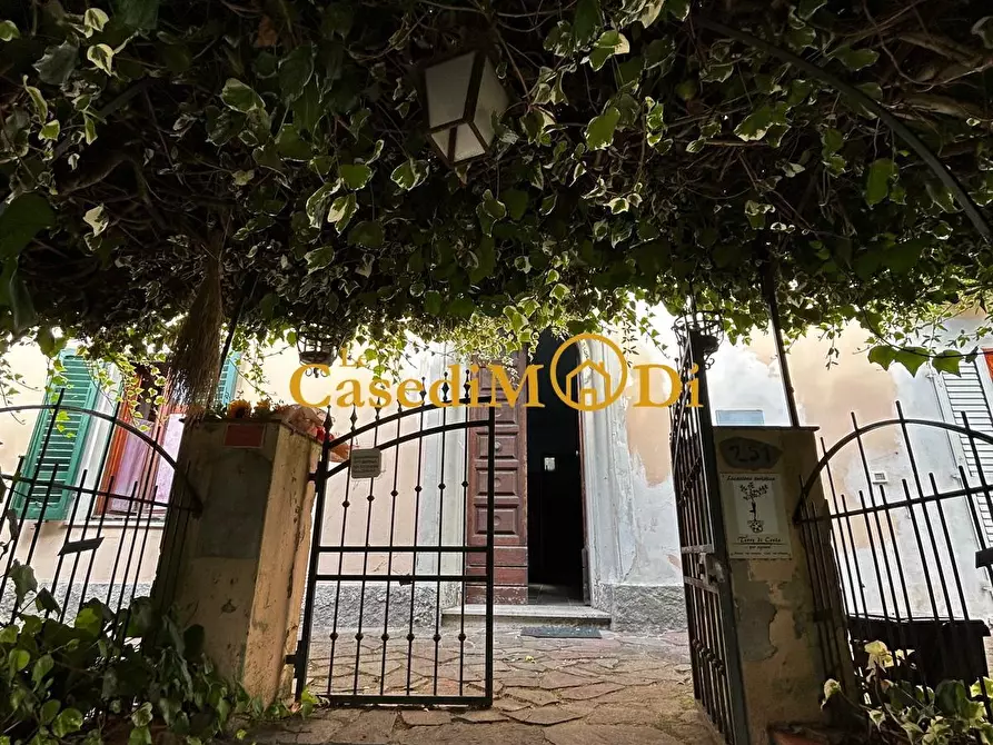 Immagine 6 di Villa in vendita  a Santa Luce