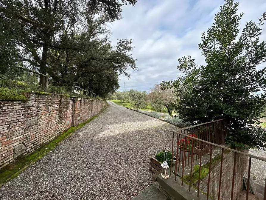 Immagine 27 di Casa colonica in vendita  a Castelfranco Di Sotto