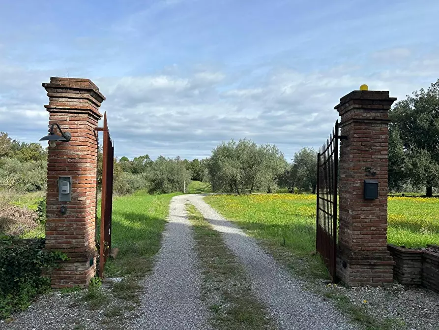 Immagine 28 di Casa colonica in vendita  a Castelfranco Di Sotto