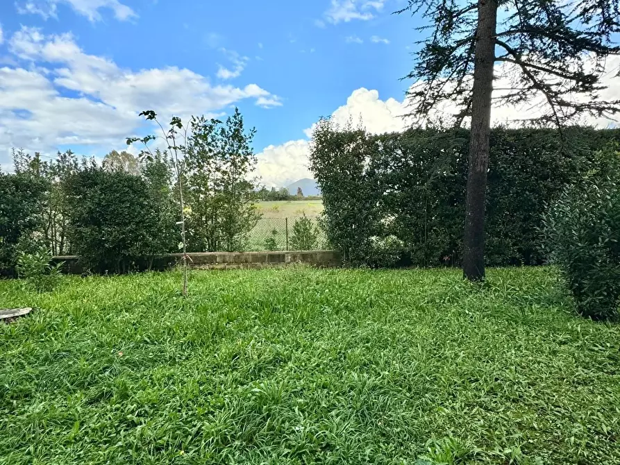 Immagine 35 di Villa in vendita  a San Giuliano Terme