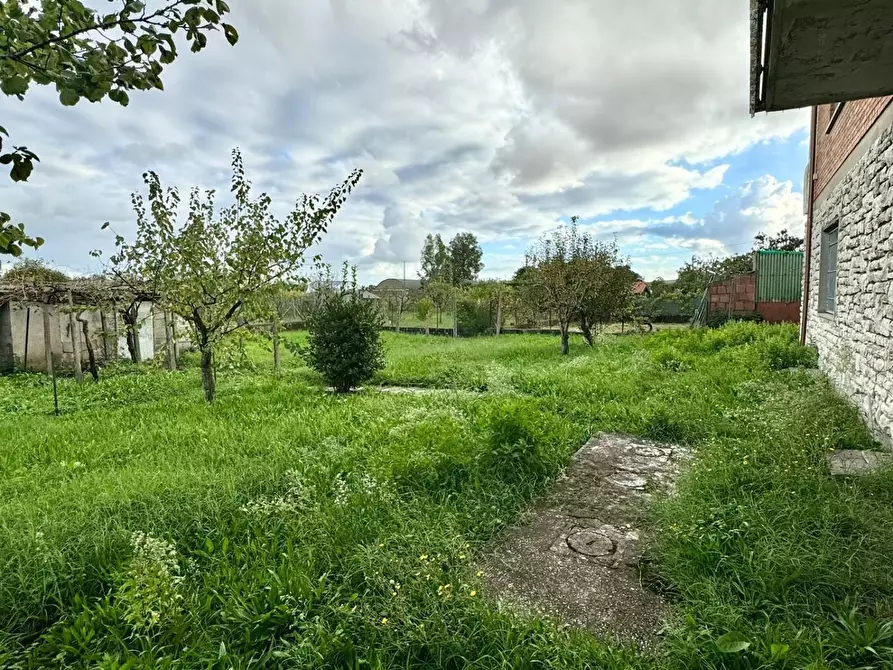 Immagine 39 di Villa in vendita  a San Giuliano Terme