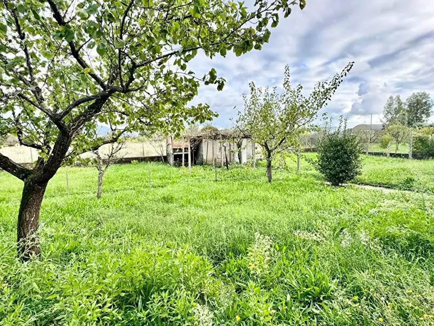 Immagine 38 di Villa in vendita  a San Giuliano Terme