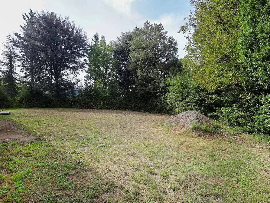 Immagine 8 di Villa in vendita  a Pisa