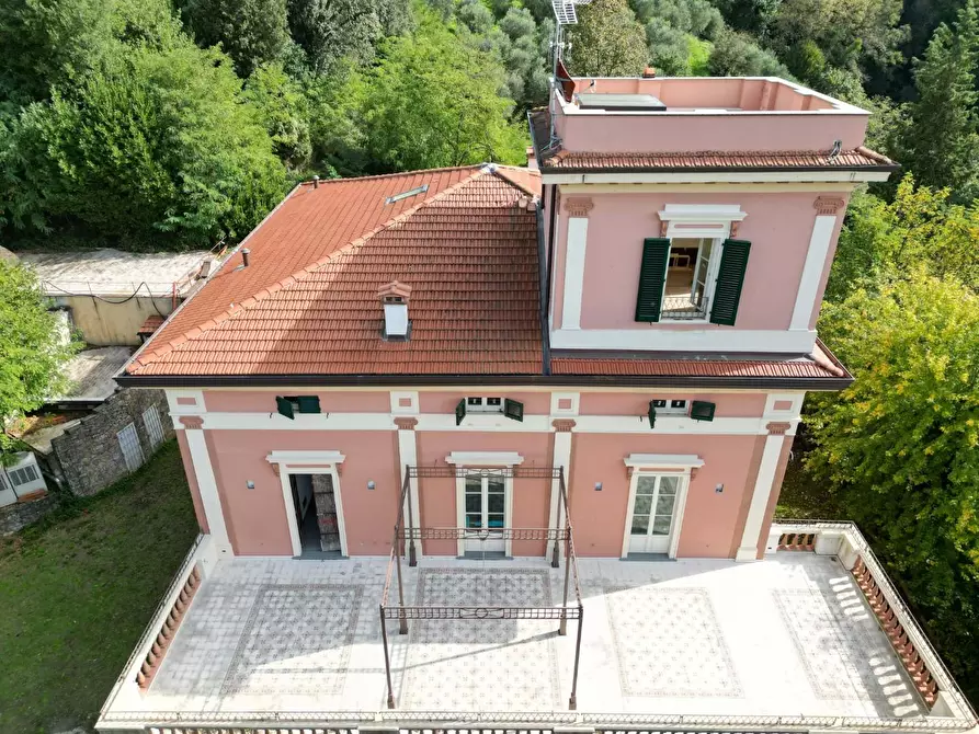 Immagine 3 di Villa in vendita  a Pisa